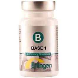 Erlingen Base 1 60 Comp