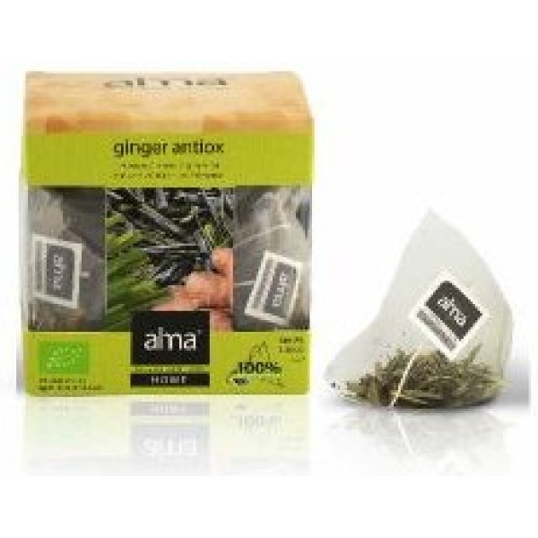 Alma Home Piramide Grüner Tee Ingwer Antiox Eco 30g
