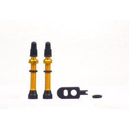 Momum Set 2 Tav Valves Aluminium 44mm Round Base Golden