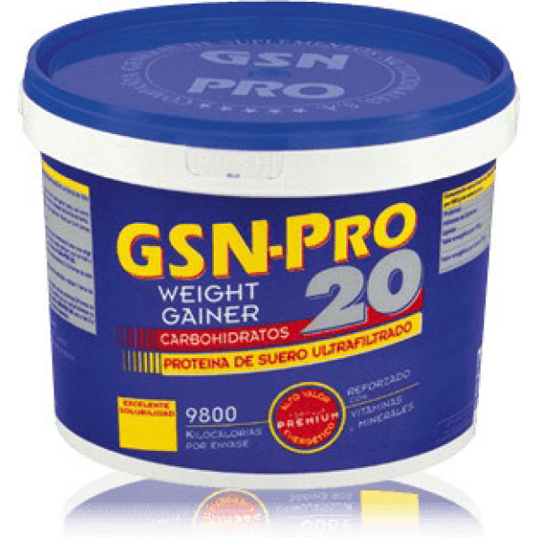 Gsn Pro 20 Fresa 2,5 Kg