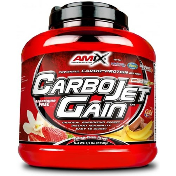 Amix CarboJet Gain 2,25 kg Protéines Glucides et WPC, Contribue à l'Augmentation de la Masse Musculaire + Contient des Minéraux et des Enzymes Digestives
