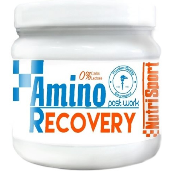 Nutrisport Amino Recovery 260gr