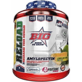 BIG Reload Amilopeptina 2 kg