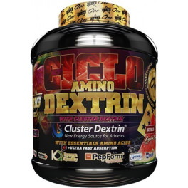 BIG Ciclo Amino Dextrin 1,5 Kg