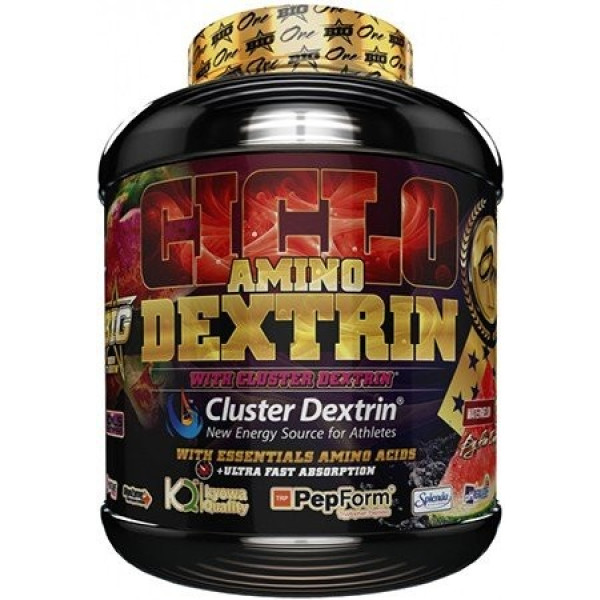 BIG Ciclo Amino Dextrin 1,5 Kg