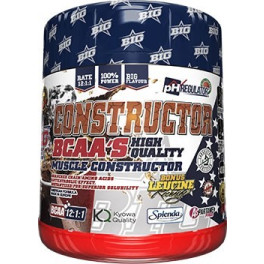 BIG Builder BCAAS 400gr
