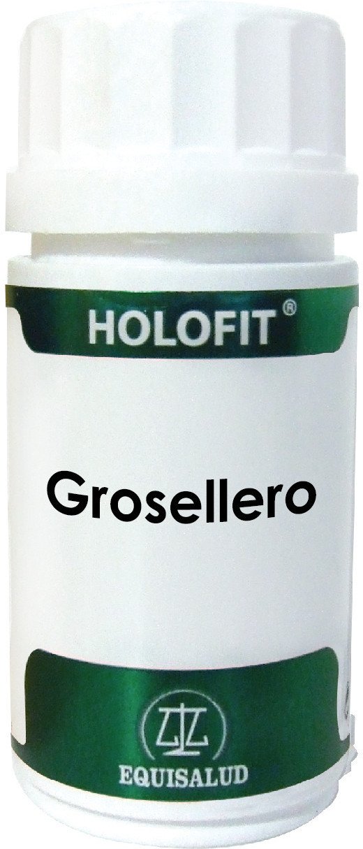 Equisalud Holofit Grosellero 600 Mg 60 Caps-image