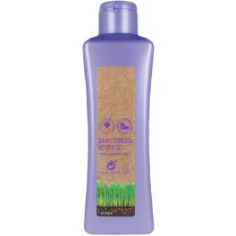 Salerm Biokera Grapeology Shampoo 300 ml unissex