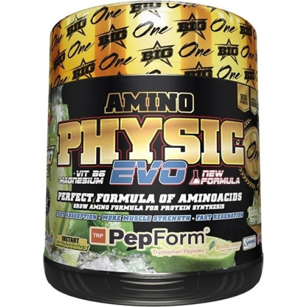 BIG Amino Physic Evo 400 gr