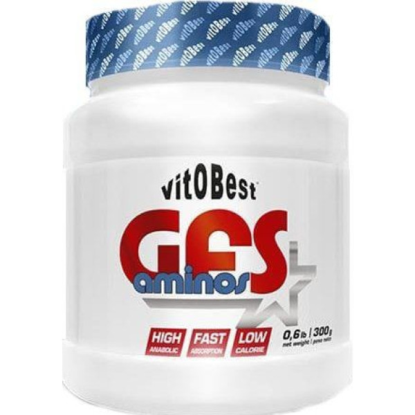 VitOBest GFS Aminos 300 gr - Ajinomoto / Absorção rápida