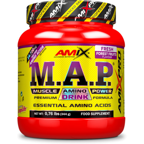 Amix MAP Poudre 344 Gr - Optimise la Synthèse des Protéines - Absorption Maximale