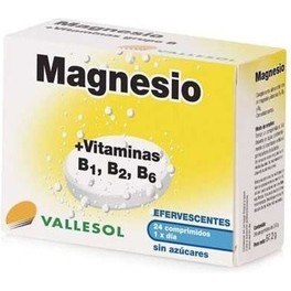 Vallesol Magnésio + Vitaminas B1, B2, B6 - 24 comprimidos