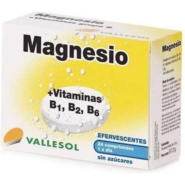 Vallesol Magnésium + Vitamines B1, B2, B6 - 24 comprimés