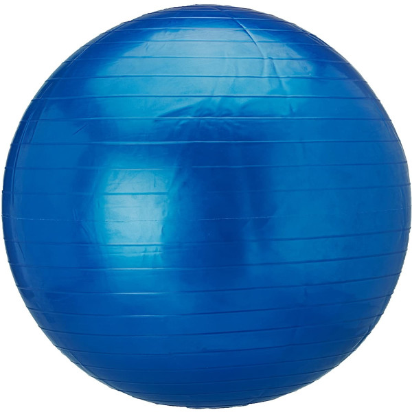 Goodbuy Fitness Fitball Balón De Gimnasia De 65 Cm