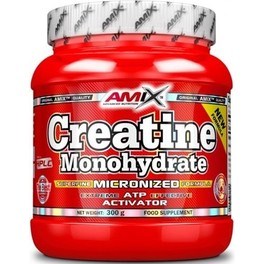Amix Creatina Monoidrato 300 Gr 100% Micronizzata Migliora la Potenza Muscolare