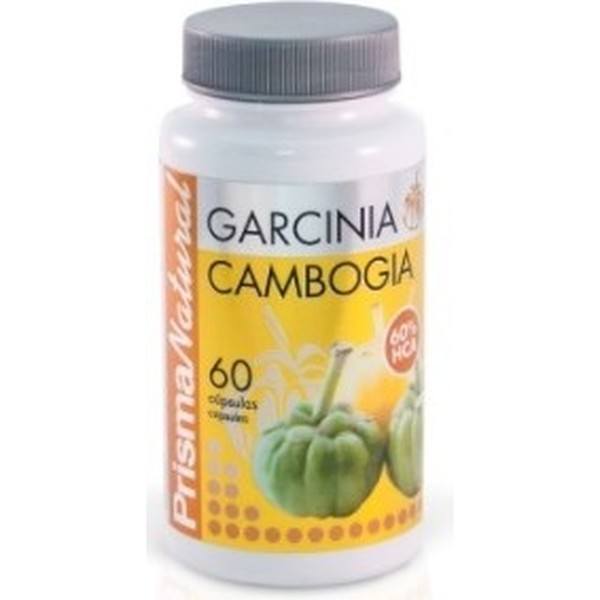 Prisma Natural Garcinia Cambogia 800 mg 60 Kapseln