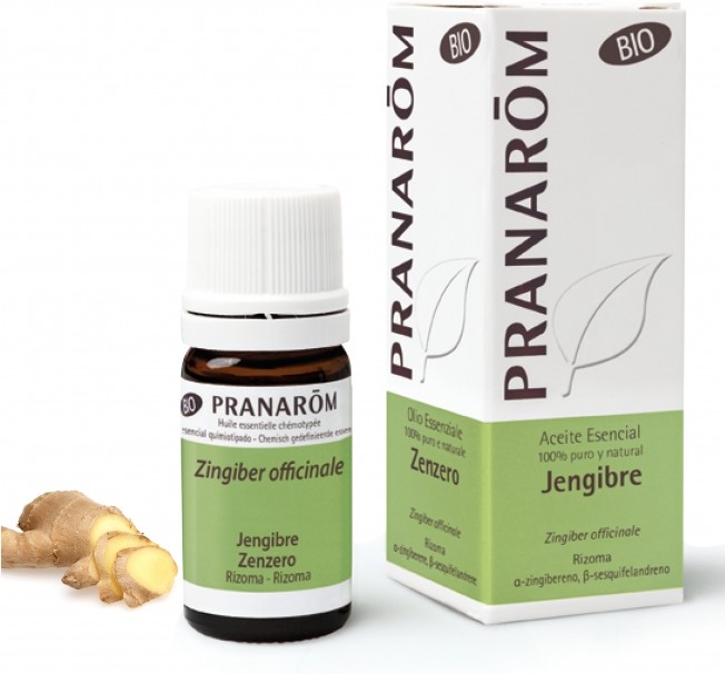Pranarom Gingembre Rhizome 5 Ml Bio-image