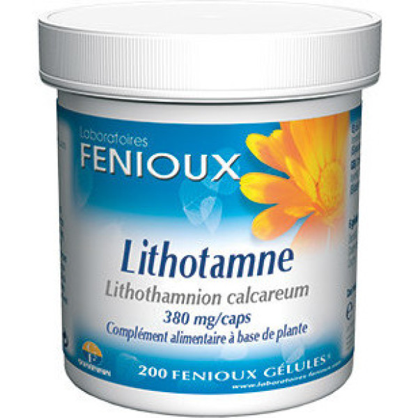Fenioux Lithome 200 Gélules 380 Mg