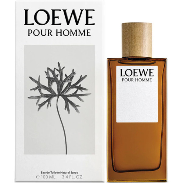 Loewe Pour Homme Etv 100ml