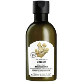 The Body Shop Body Shop Ginger Conditioner 250ml Ba
