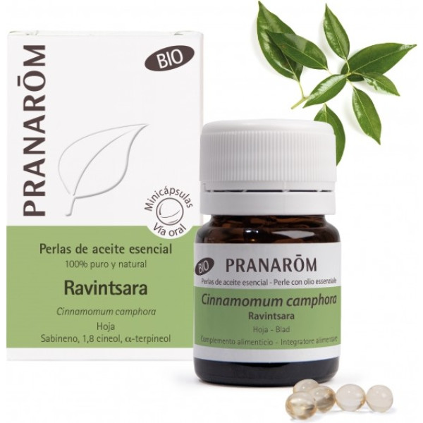 Pranarom A Essential Ravintsara Leaf Bio 60 Minicápsulas