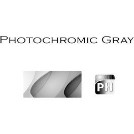 Shimano Lente Equinox Photocromic Grey