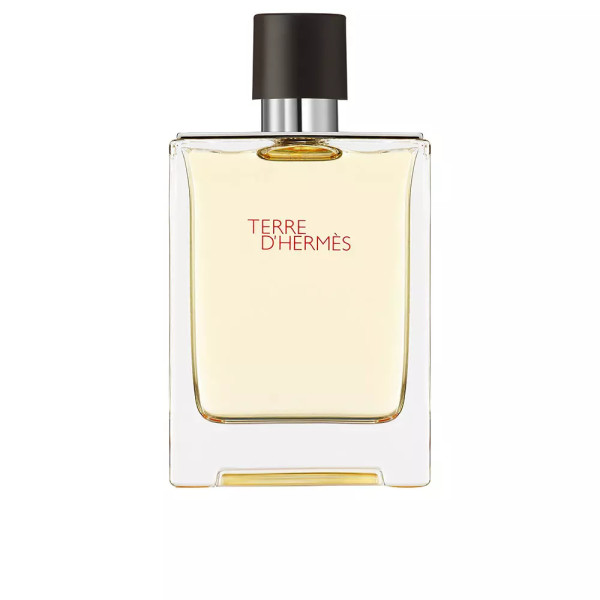 Hermes Terre D'hermès Eau de Toilette Spray 100ml Masculino