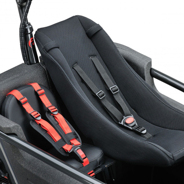 Wiener Asiento Bebe Para Cajon Sc2/sc3 Bicicletas Batavus Fier 2/3/  F.u.b 2/3/raleigh Stride2 /3