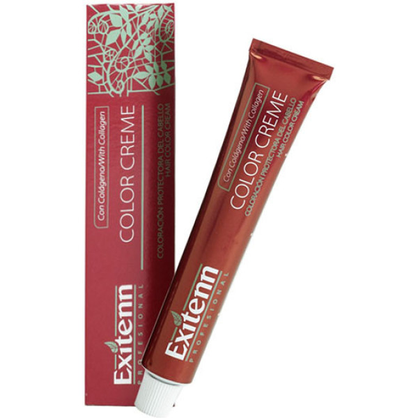 Exitenn Color Creme 60ml Color 12001 Plata Ceniza
