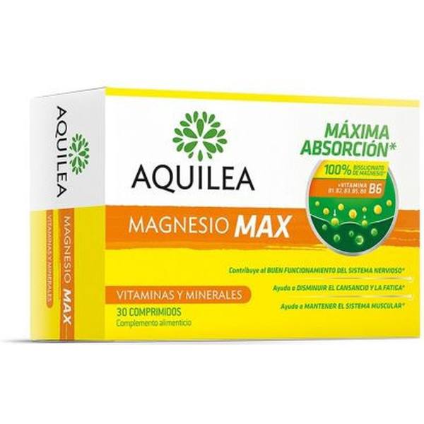 Achillée Magnésium Max 30 Comp