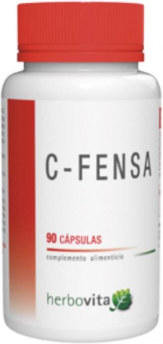 Casquette Erba Vita C-fensa 90-image