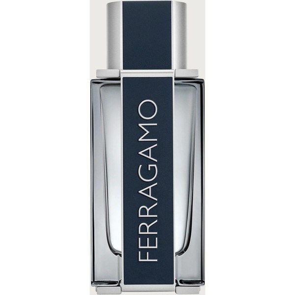 Salvatore Ferragamo Eau de Toilette Spray 100 Milliliter Man