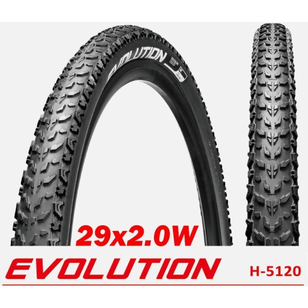 Chaoyang Evolution 29 X 2.0 Wire Black