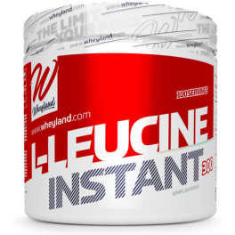 Wheyland L-leucine Instant 300 Gr Neutro