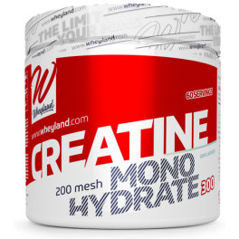 Wheyland Creatine Monohydrate 200 Mesh 300 Gr Neutro