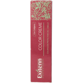 Exitenn Color Creme 60 Ml Color F/verde