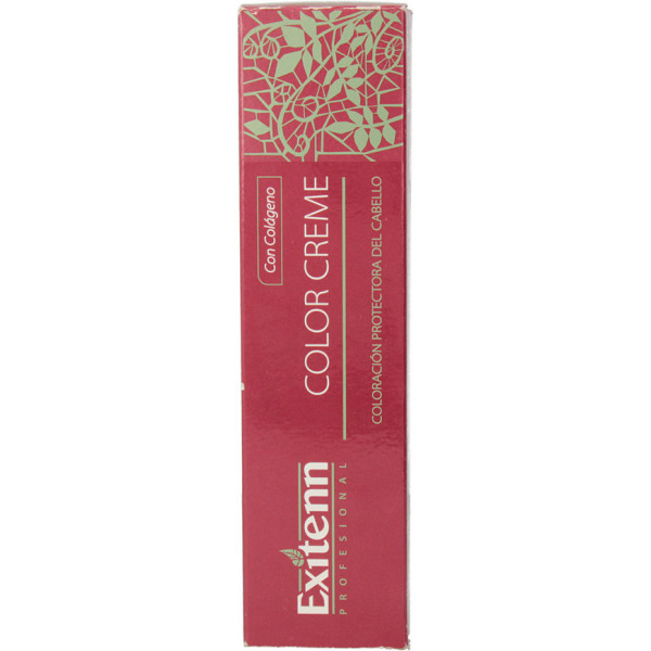 Exitenn Color Creme 60 Ml Color 12/0.22