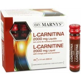 Marnys L-Carnitina Liquida 20 fiale x 11 ml