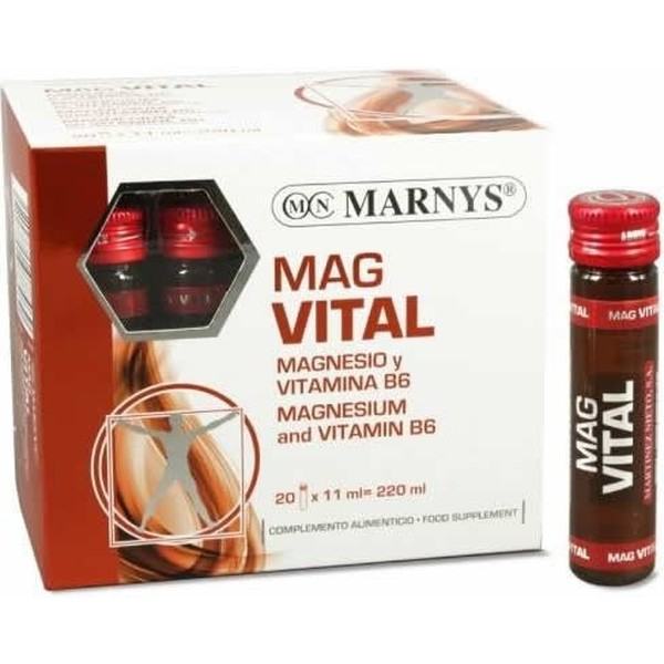 Marnys Mag Vital 20 ampoules x 11 ml