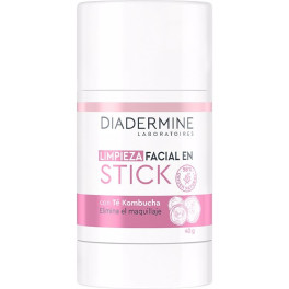 Bastão de limpeza facial Diadermine Essential Care 40 gr unissex