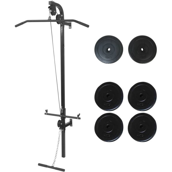 Vidaxl Máquina De Musculación De Pared Con Discos De Peso 40 Kg