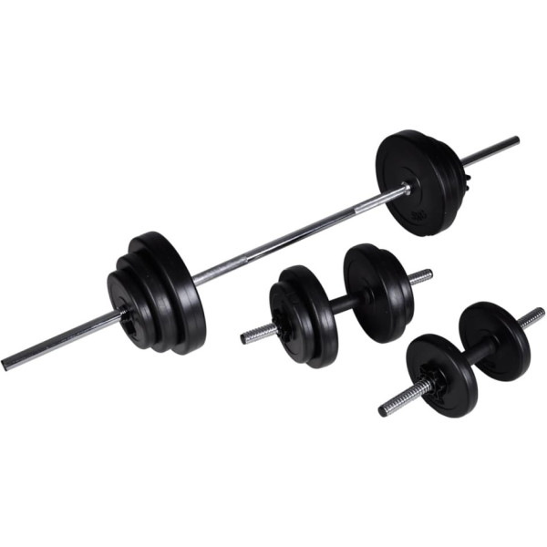 Vidaxl Set De Pesas + 2 Mancuernas 30.5 Kg