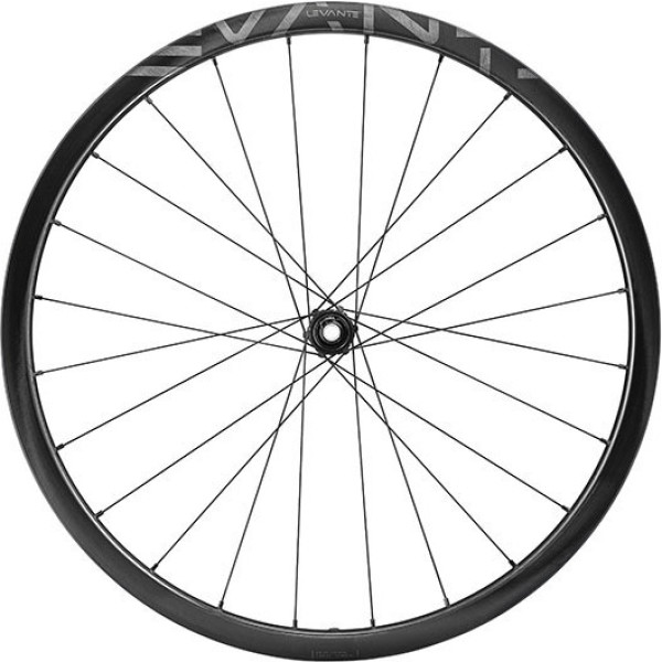 Campagnolo Roue Arrière Levante 30 2wf Disc Tubeless Sram Xdr Carbone