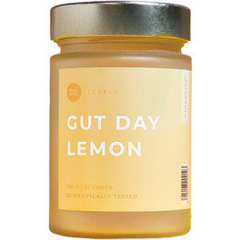 Be Levels Gut Day 150 G De Polvo