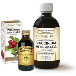 Dr. Giorgini Vaccinium Vitis-idaea (arándano) 500 Ml