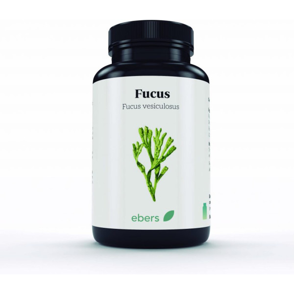 Ebers Fucus 100 Comp 500 mg