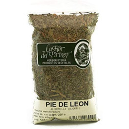 Flor Pirineo Pie De León 40 G