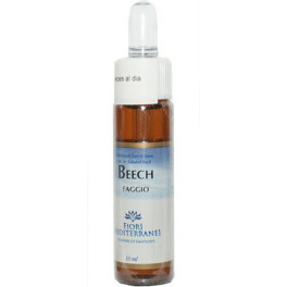 Forza Vitale Fm Beech (haya 10 Ml De Elixir Floral