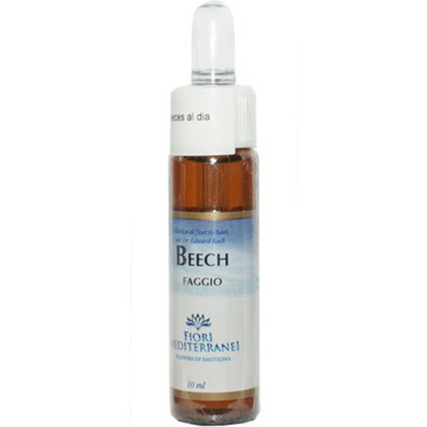 Forza Vitale Fm Beech (haya 10 Ml De Elixir Floral