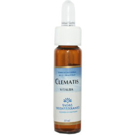 Forza Vitale Fm Clematis (clematide) 10 Ml De Elixir Floral